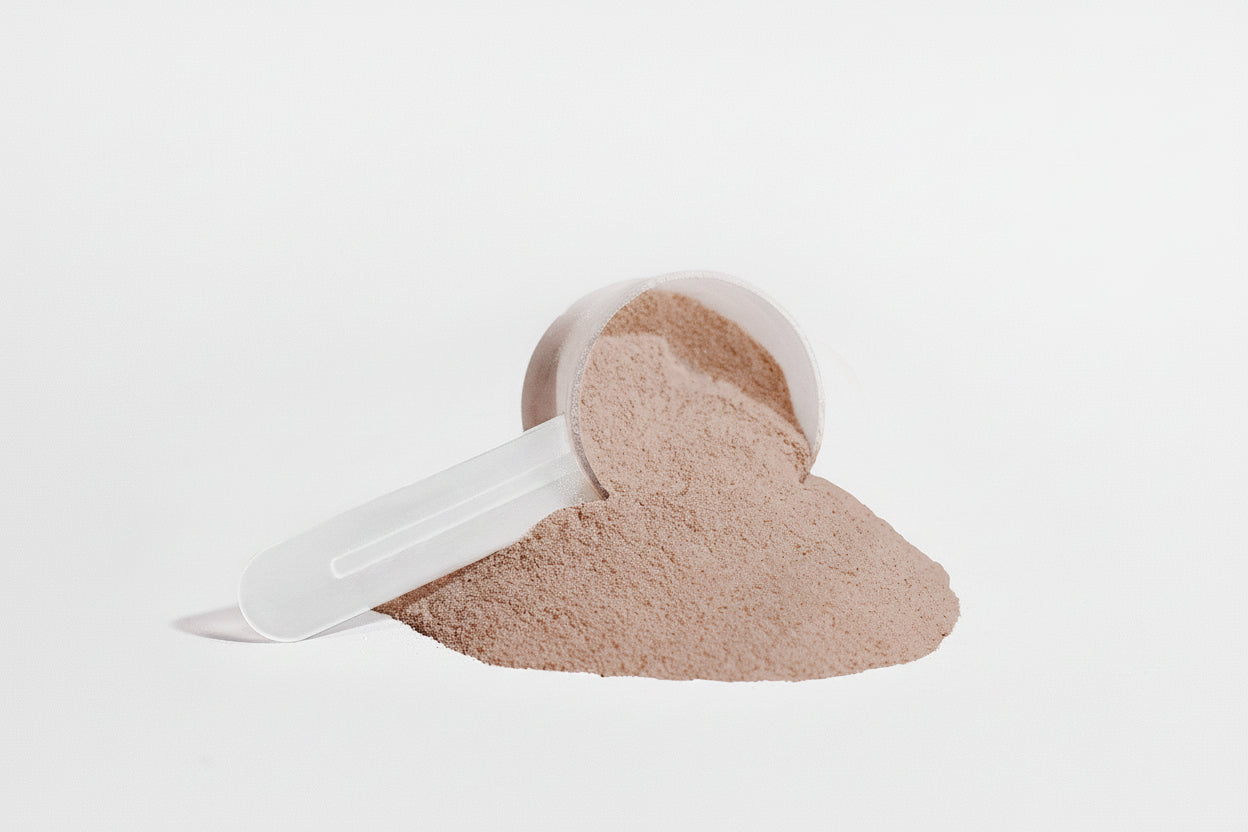 Plant Protein (Chocolate)